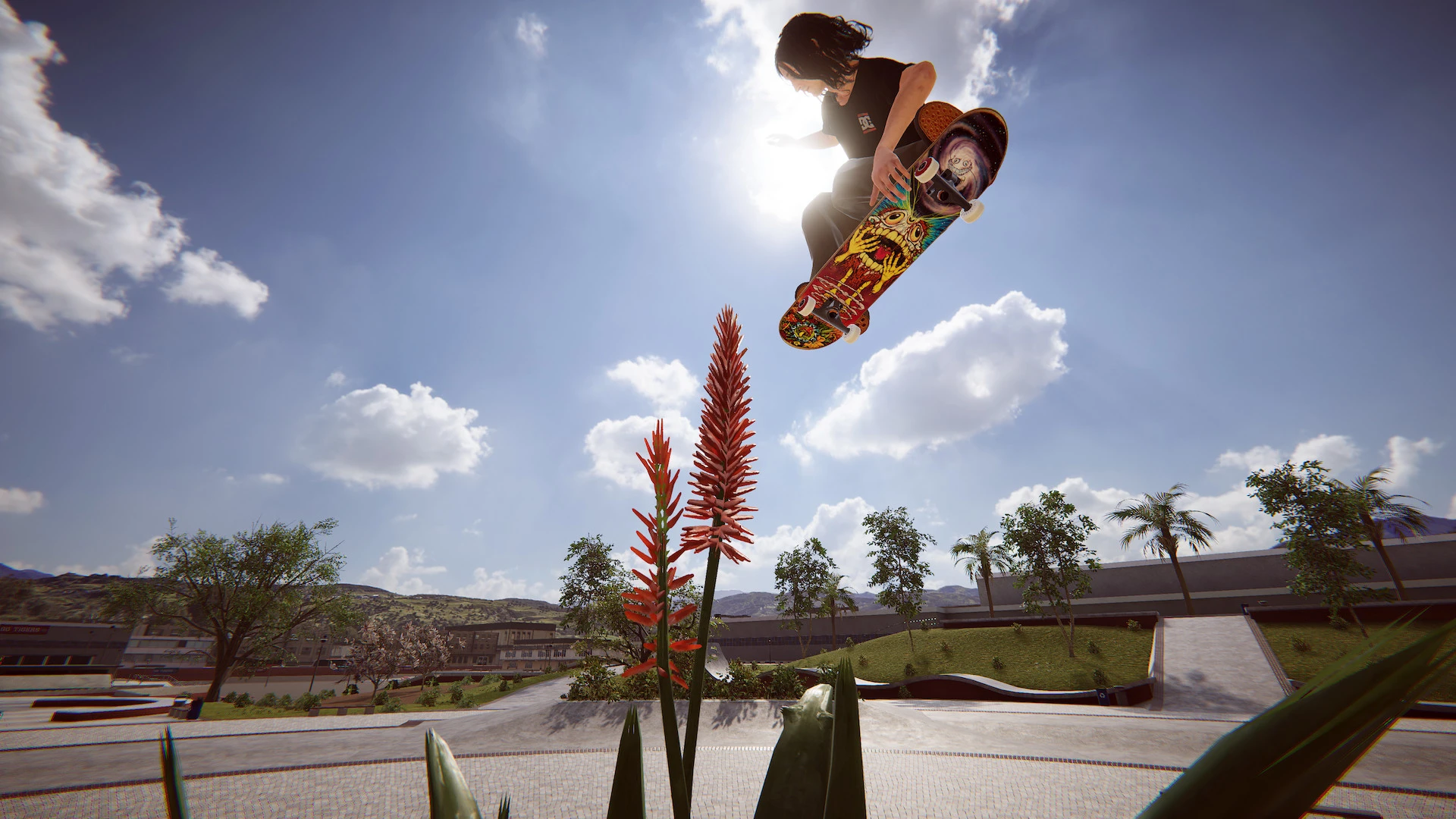 Skateboarding Community